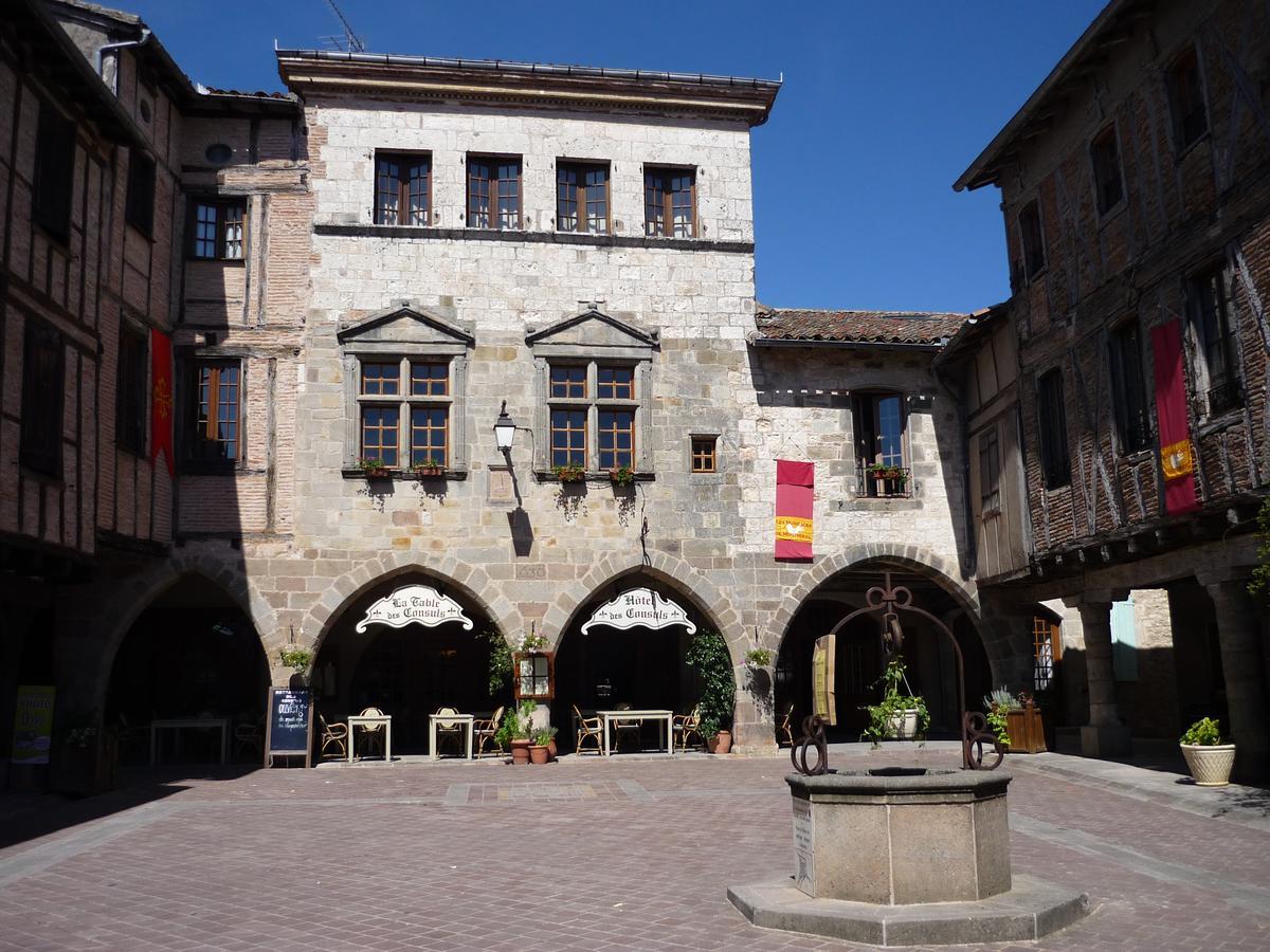 ホテル デ コンスル Castelnau-de-Montmiral エクステリア 写真